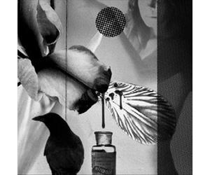 Demdike Stare - Elemental 4: Iris