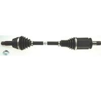 Essieu moteur LÖBRO 306299