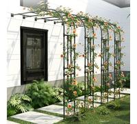 Demi-Arche À Rosiers pour Rosiers Plantes Grimpantes Arche Jardin en métal pergola de Jardin pour intérieur extérieur pelouse de Jardin Assemblage Facile Tuteur Colonne de Jardin(Black,180W x H240cm)