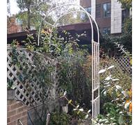 Demi-Arche À Rosiers pour Rosiers Plantes Grimpantes Arche Jardin en métal pergola de Jardin pour intérieur extérieur pelouse de Jardin Assemblage Facile Tuteur Colonne de Jardin(White,270W x H240cm)