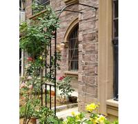 Demi-Arche de Jardin Arceau Rosier Grimpant 90x240x40cm 200x267x50cm 350x267x50cm Arche en métal Stable Tonnelle Arcade pour diverses Plantes grimpantes, Jardin ex(Size:WxHxD:90x240x40cm,Color:Noir)