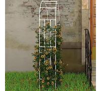 Demi-arche de jardin en métal blanc treillis pour plantes grimpantes, arche de jardin en plein air pour vignes et fleurs, idées d'arche de ballons décoratifs, taille : 60 cm