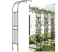 Demi-arche en métal galvanisé pour plantes grimpantes, décoration de jardin pour arrière-cour et terrasse (60 x 240 x 40 cm)
