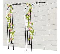 Demi-arche en métal noir pour rosier, support semi-circulaire pour fleurs, hauteur 60300 cm, largeur 240 cm, parfait pour décoration extérieure et croissance des plantes
