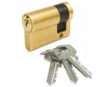 Demi cylindre - laiton poli - panneton indexable - 40x10 - TE 5 TESA Sécurité