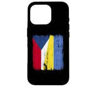 Demi-Drapeau République tchèque Ukraine Patrimoine tchèque ukrainien Coque pour iPhone 16 Pro