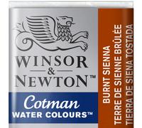 Demi-godet de peinture aquarelle Winsor & Newton Cotman Terre de Sienne br l e