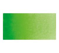 Demi Pan Schmincke Horadam Aquarelle : Vert Permanent