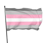 Demigirl Demi Girl Pride Drapeau sur le thème de la bienvenue pour maison, jardin, cour, 91 x 152 cm, grand drapeau géant pour décoration extérieure
