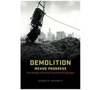 Demolition Means Progress - Flint, Michigan, And The Fate Of The American Metropolis