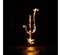 Demon head - Hellfire Ocean Void [Import]