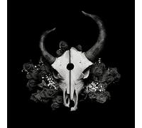 Demon Hunter - Summer of Darkness