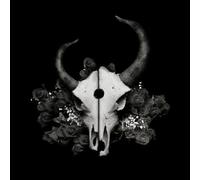 Demon Hunter - Summer of Darkness