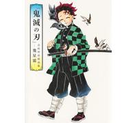 DEMON SLAYER - GOTOUGE KOYOHARU ARTBOOK (VO JAPONAIS)