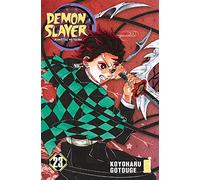 Demon slayer. Kimetsu no yaiba. Ediz. variant. Con mini shikishi (Vol. 23)