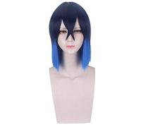Demon Slayer: Kimetsu No Yaiba Hashibira Inosuke Cosplay Perruques 35cm Court Droite Anime Perruque Synthétique Perruque Bleu Marine Halloween Démon Slayer Kimets Hashibira Inosuke