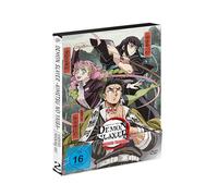 Demon Slayer: Kimetsu no Yaiba Hashira Training Arc - Vol.2 - [DVD]