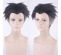 Démon Slayer: Kimetsu no Yaiba Himejima Kyoumei cosplay perruque cheveux synthétiques Halloween Cosplay perruques + perruque casquette démon slayer perruque n ° 607