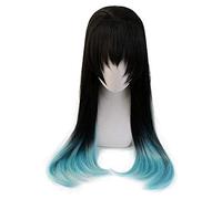 Démon Slayer Kimetsu no Yaiba Tokitou Muichirou perruque Cosplay Costume résistant à la chaleur synthétique cheveux perruques pas de queues de cheval