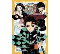 Demon Slayer - Roman jeunesse T01 : Tanjiro & Nezuko l'origine de leur destin