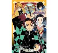 Demon Slayer - Roman jeunesse T02 : Les liens fraternels et les pourfendeurs de démons