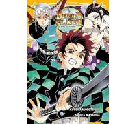 Demon Slayer - Roman jeunesse T04