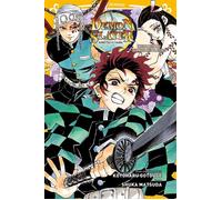Demon Slayer - Roman jeunesse T04
