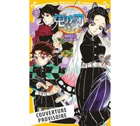 Demon Slayer - Roman jeunesse T06