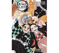 Demon Slayer Roman N°02: Le papillon qui ne pouvait plus voler