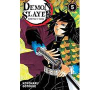 Demon Slayer T05