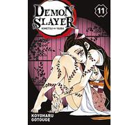 Demon Slayer T11