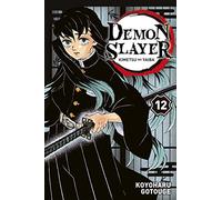 Demon Slayer T12