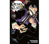 Demon Slayer T13