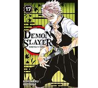 Demon Slayer T17