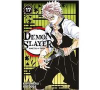 Demon Slayer T17 Koyoharu Gotouge (Auteur)
