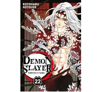 Demon Slayer T22 - Koyoharu Gotouge - Panini Manga - broché - Manga