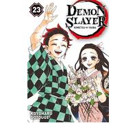 Demon Slayer T23