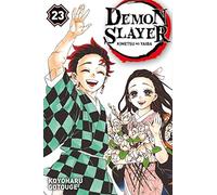 Demon Slayer T23