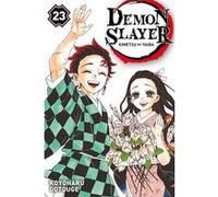 Demon Slayer T23