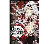 Demon Slayer T22