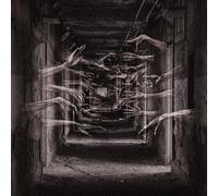 DEMONIC POSSESSOR - POROUS CHAMBERS