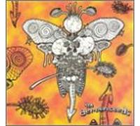 Demonseeds - Knee Deep in Hell's Grasp