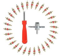 Demonte Valve Pneu Outil 102 Pcs, MCSQK 4-1 Outil de Réparation de Valve de Pneu Démonte Valve Pneu et Valve Core 100 Pcs, Tire Repair Kit Valve Core Remover pour Voiture Remplacement