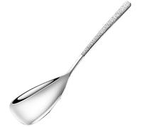 Demsyeq Cuillères de service pour buffet | Grandes cuillères pour servir les aliments - Ensemble de spatules pour cuisine, cuisine, restaurant, mariage, cuillères à café, ustensiles de mesure