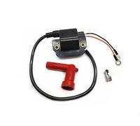 DEMULAX Bobine d'allumage hors-bord, for YAMAHA, 697-85570-11-00 697-85570-10-00 55HP 1992-1995 60HP 1996-2001 2004 2006 70HP 90HP Interrupteur d'allumage marin