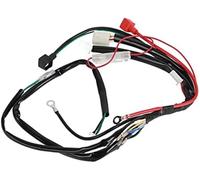 DEMULAX Faisceau de câbles de démarrage électrique for Moteur, for Pit Bike, Moto, VTT, Quad 70cc, 90cc, 110cc, 125cc Bobine d'allumage CDI pour Voiture