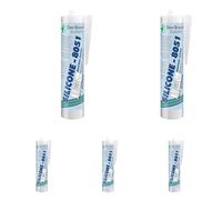 Den Braven SILICONE 8051 Transparent - Mastic silicone Monocomposant Polyvalent pour les Joints Sanitaires le Scellement de Bâtiments et les Joints de Vitrage - Cartouche de 300ml (Lot de 5)