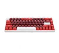 Denash Clavier Mécanique RVB sans Fil à 60%, Clavier de Jeu Compact à 68 Touches avec Commutateur Bleu, Bluetooth, 2,4 G, Mode Triple de Type C pour PC