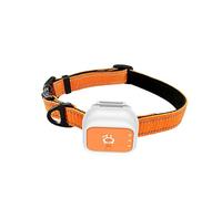 Denash Collier de Suivi GPS pour Animaux de Compagnie pour Chiens et Chats avec Suivi en Temps Réel Alerte SOS Clôture électronique Autonomie de la Batterie de 25 Jours Prise en C (Version Amérique)