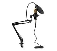 Denash Condensateur Microfon Professional Studio Mic Mater Mater Kit avec Cours de Transmission et Classe de Ressort pour Podcasts, Voix, Alliage en Acier/Alliage de Zinc/de Zinc